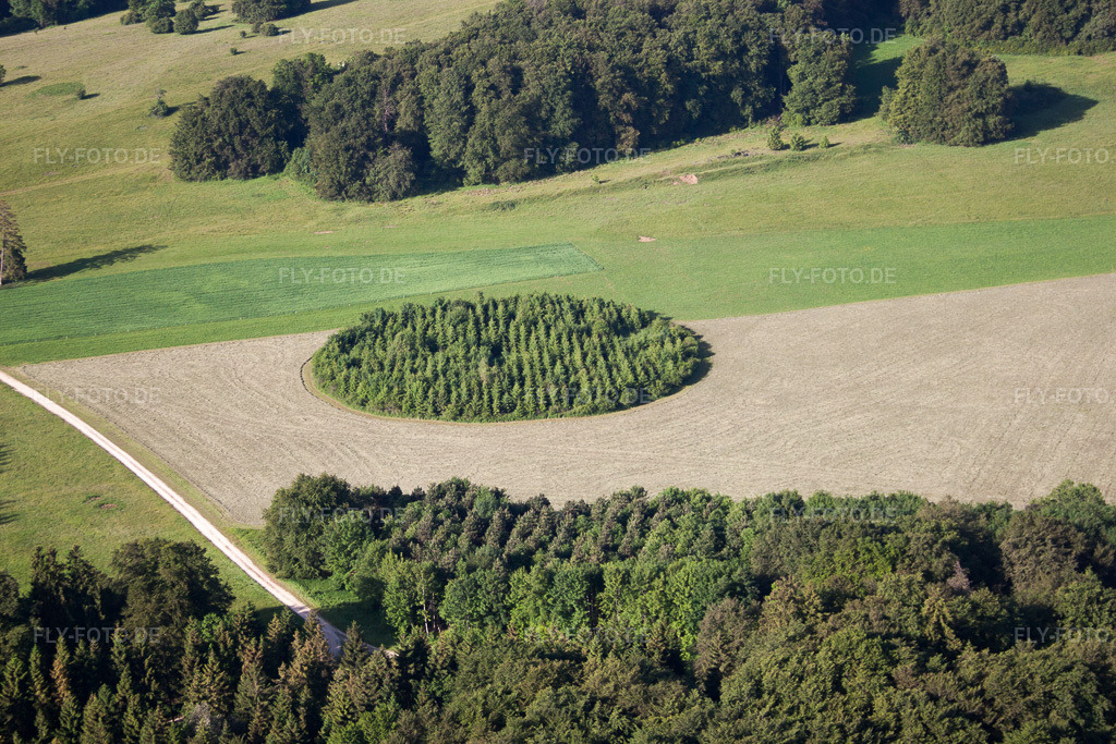Luftbild: kreisförmige Schonung auf Getreidefeld in Gutsbezirk Münsingen im Bundesland Baden-Württemberg in Deutschland. – Foto: IMG_67335.jpg vom 08.06.2014 durch Werner Riehm/FLY-FOTO.de – Auflösung des Originals: 4752 x 3168 px
