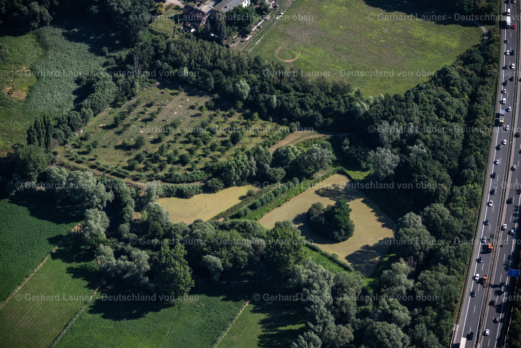 4035014 | BRAUNSCHWEIG 31.07.2020 Tümpel- Wasserfläche und Teich- Oase am Flussverlauf der Oker entlang der Autobahnstrecke der BAB A391 in Braunschweig im Bundesland Niedersachsen, Deutschland. // Pond water surface and pond oasis on the river course of the Oker in Brunswick in the state Lower Saxony, Germany. Foto: Gerhard Launer