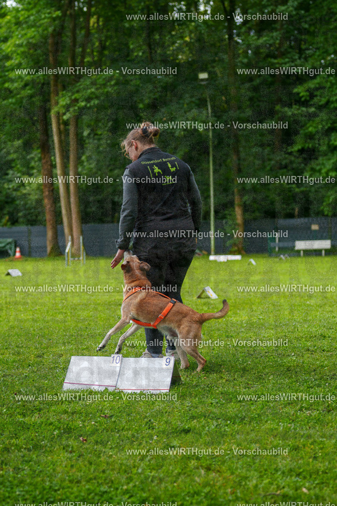 @allesWIRTHgut_Tierfotografie - www.allesWIRTHgut.de - 7R502065 | Professionelle Tierfotografie in Mönchengladbach von Daniel Wirth (allesWIRTHgut). Liebevolle & natürliche Bilder von Hunden & Katzen für unvergessliche Erinnerungen.