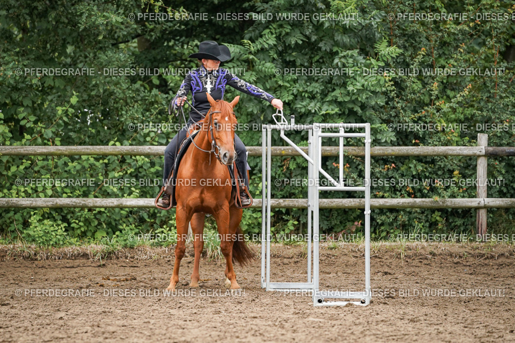 DSC03660 | Pferdegrafie