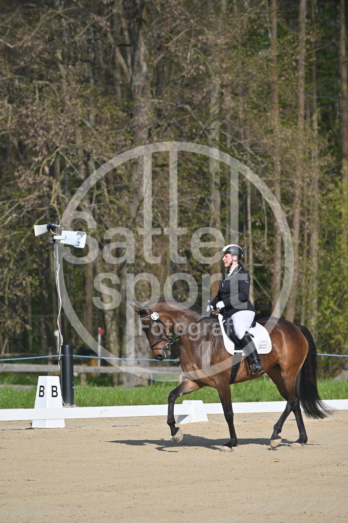 DSC_9989 | sattelsport - Realisiert mit Pictrs.com