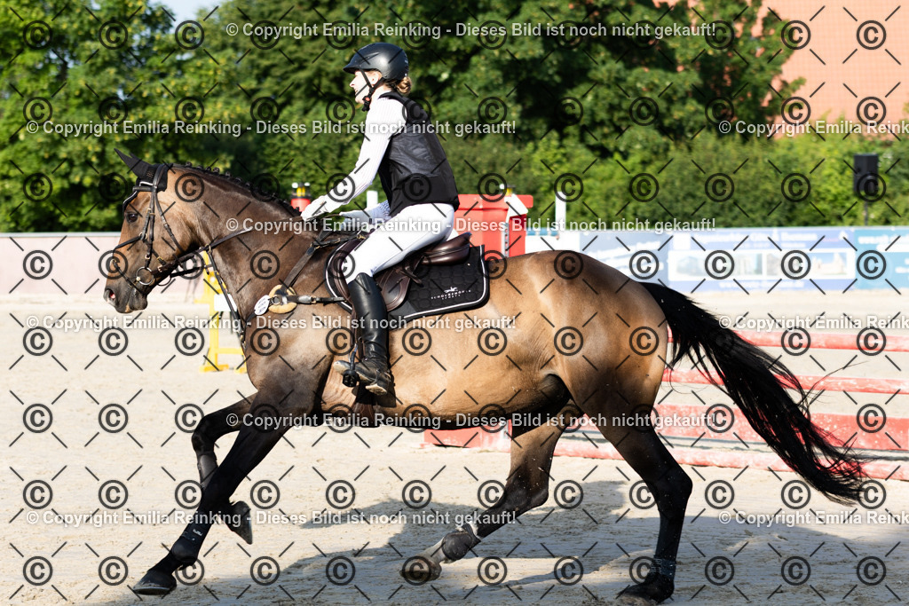 CL5A1350 | Emilia Reinking Fotografie - Realisiert mit Pictrs.com