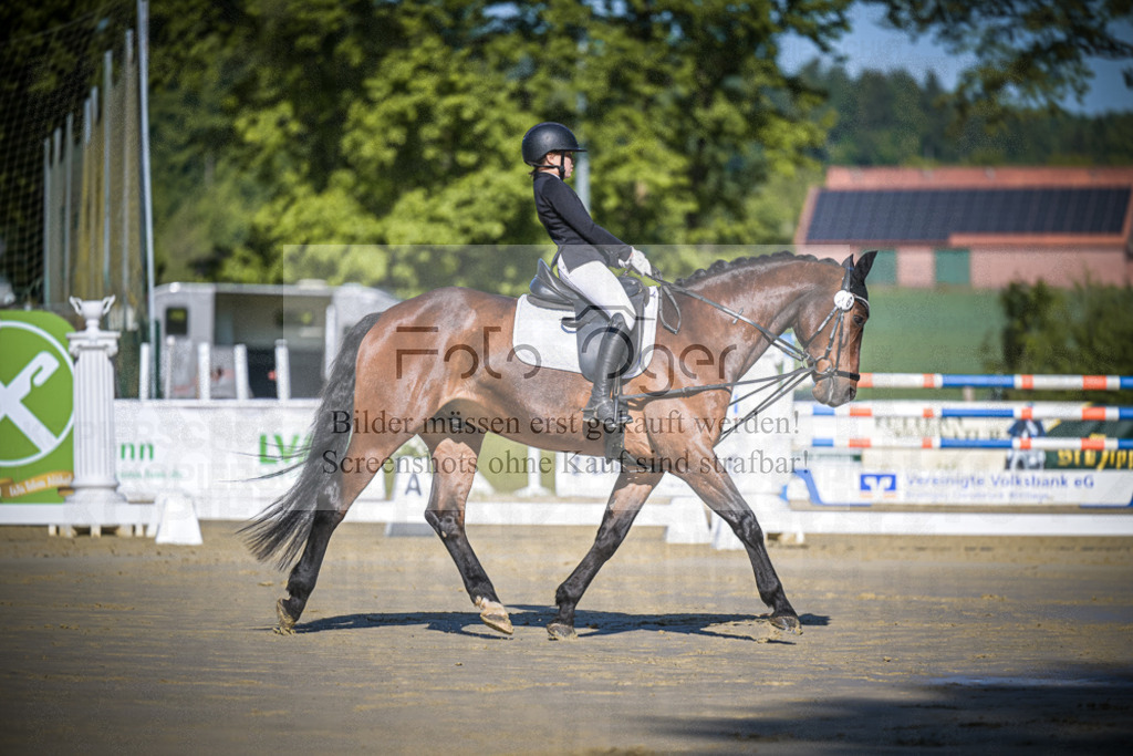 DOS_2954 | Entdecke hochwertige Reitturnierfotos von Foto Oger. Professionell, emotional und authentisch – jetzt Lieblingsmomente im Shop bestellen.Deutschlandweite Turnierfotografie. - Realisiert mit Pictrs.com