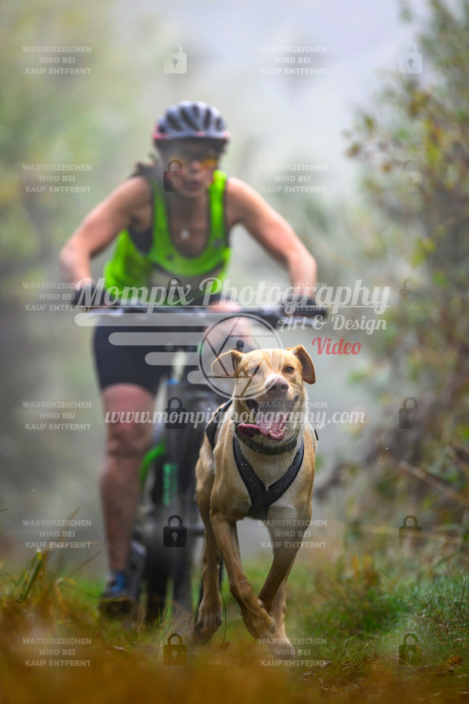 MompixPhotography_20TSB_E4_Bike-65 | PayLife