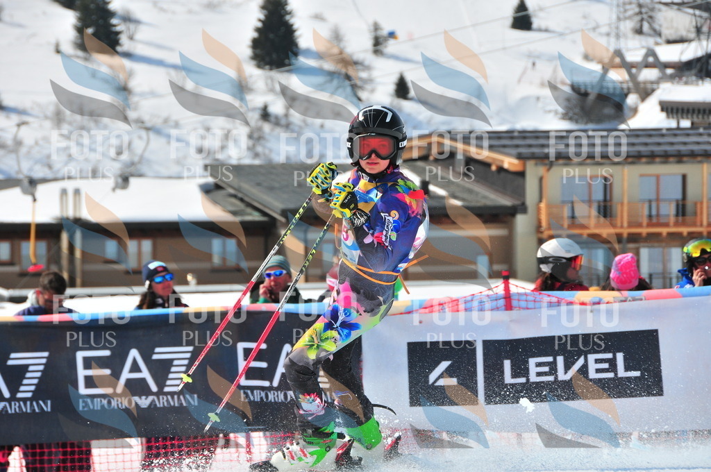 DSC_5221 | holidayphoto