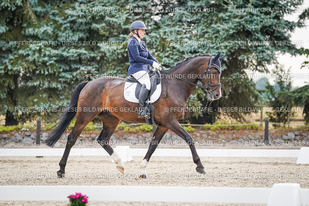 DSC00203 | Pferdegrafie