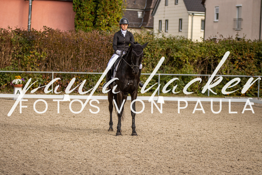 IMG_4295 | Erleben Sie dynamische Sport- und emotionale Tierfotografie in Süddeutschland mit Fotos von Paula. Spezialisiert auf Pferde- und Hundefotografie sowie Sportevents. Kontaktieren Sie mich für einzigartige und ausdrucksstarke Bilder Ihrer besonderen Momente. - Realisiert mit Pictrs.com
