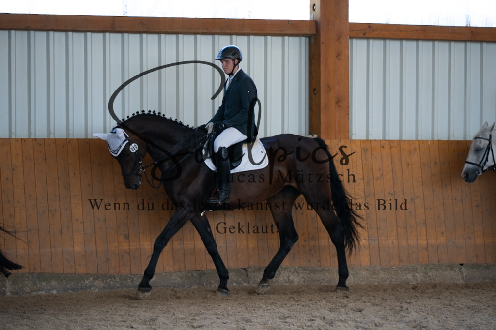 A7V02162 | Turnier/Reitfotograf