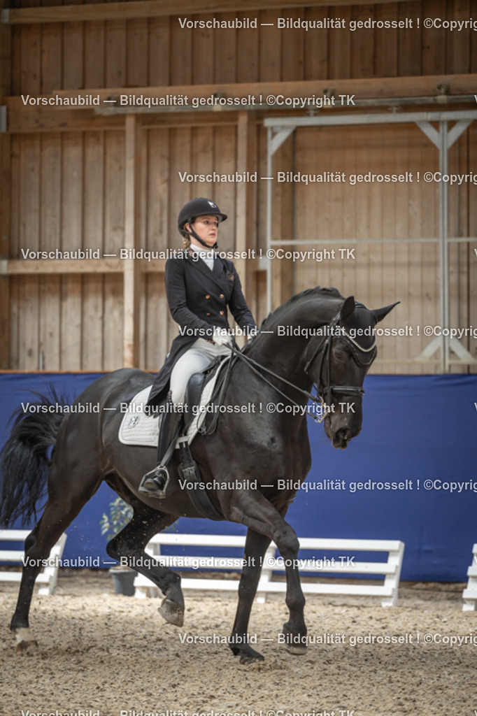 _D5A2778 | Emotionale Pferde- & People-Fotografie rund um Heidelberg, Leimen & Umgebung. Natürliche Fotos von Pferd, Mensch & Familie. Jetzt Termin sichern!