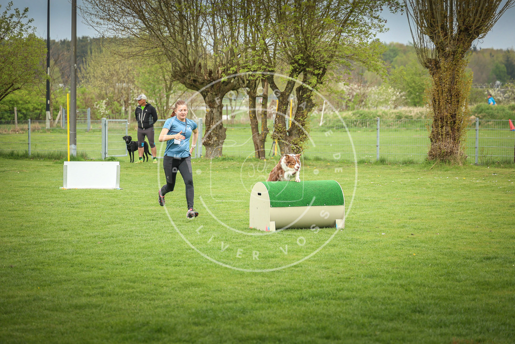 Pfotenfotografie_0L8A9404 | Hundefotografie, Tierfotograf, Pfotenfotografie, Fotoshooting Hund, Hunde Portrait, Hundesport, Hundeportraits, Heideshooting, Hunde, Sportfotograf, Hundefotograf, Turnierhundsport, THS,  - Realisiert mit Pictrs.com