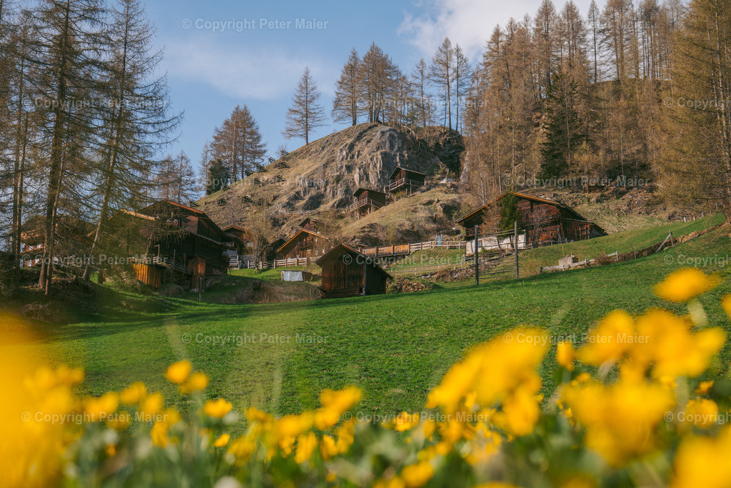 Frühling_Asten_2024-3 | piet_flosse