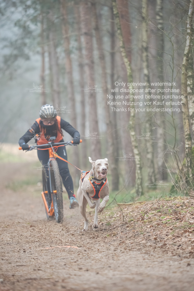 Scooter1-126 | stephaniefillaphotographie - Realisiert mit Pictrs.com