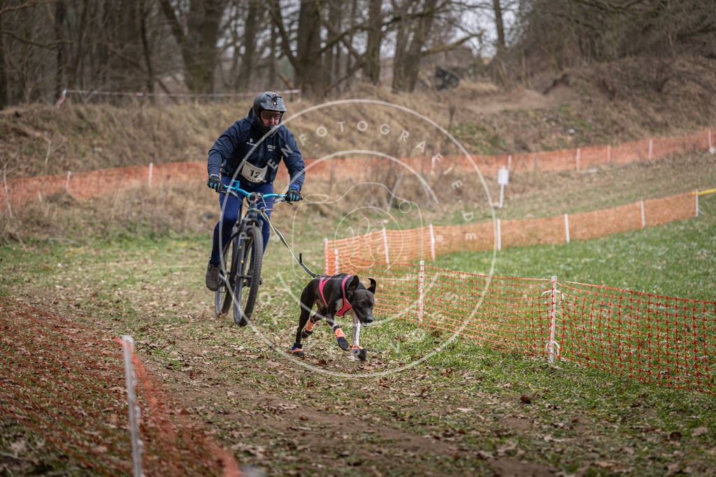 Pfotenfotografie_DV3A6352 | Hundefotografie, Tierfotograf, Pfotenfotografie, Fotoshooting Hund, Hunde Portrait, Hundesport, Hundeportraits, Heideshooting, Hunde, Sportfotograf, Hundefotograf, Turnierhundsport, THS,  - Realisiert mit Pictrs.com