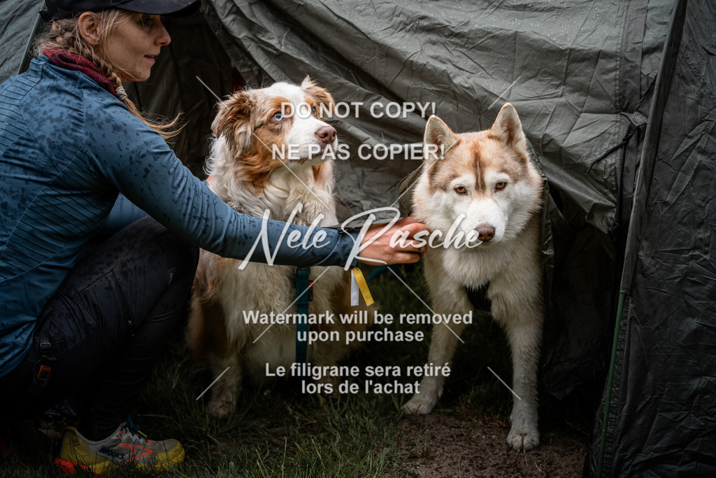 nelerasche_SaAbends_226 | nelerasche