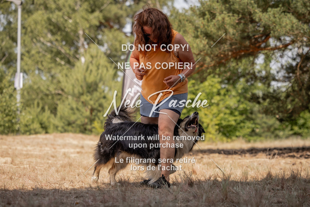 nelerasche_soDD2_470 | nelerasche