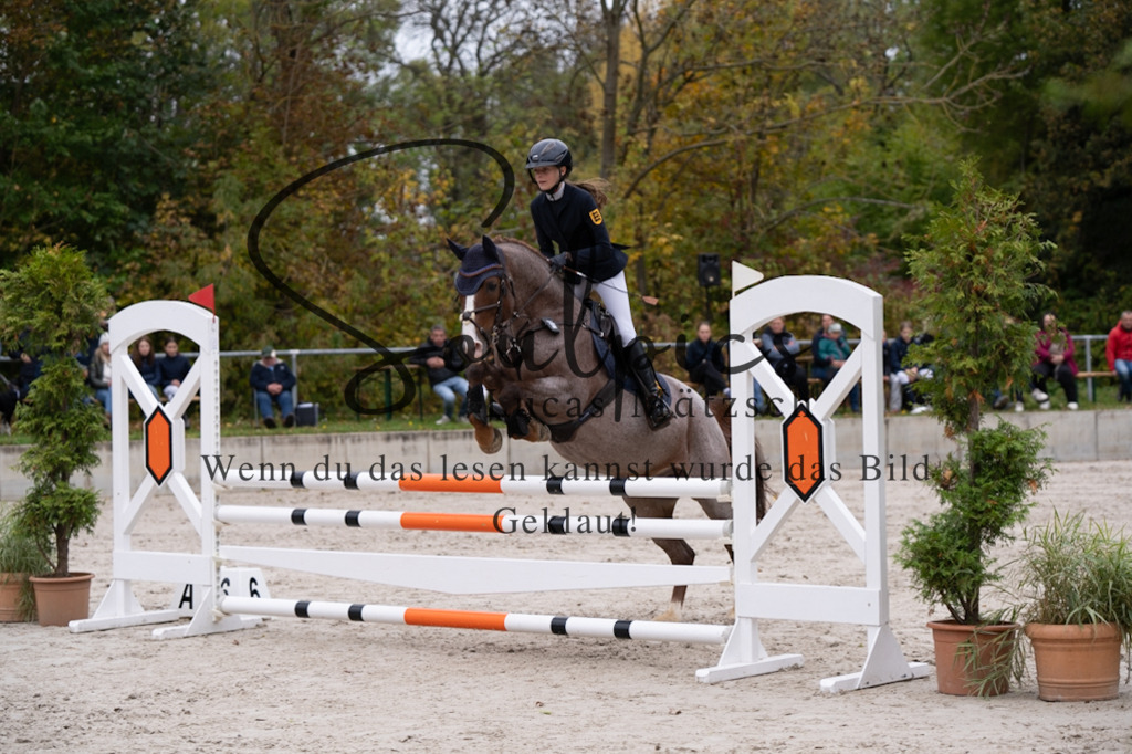 A7V07798 | Pferdefotograf