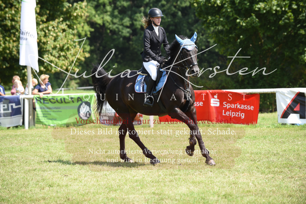 DSC_0038 | Pferde- und Turnierfotografie in Westsachsen. Pferdeportraits, Auftragszeichnungen und intuitive Kunst.