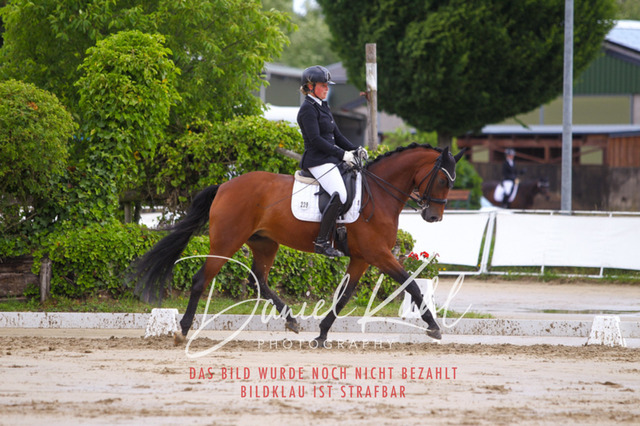 DKP40625 | Turniersportfotografie; Pferdefotografie; Dressurfotografie