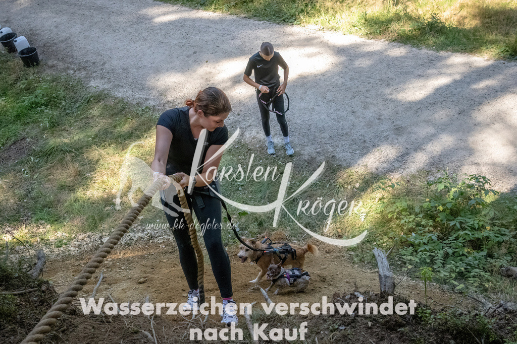 1220_ZZ94077 | kk-dogfotos