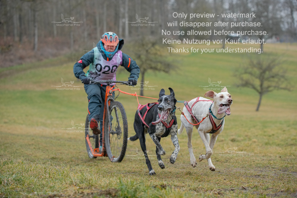 Sa_Scooter2-51 | stephaniefillaphotographie - Realisiert mit Pictrs.com