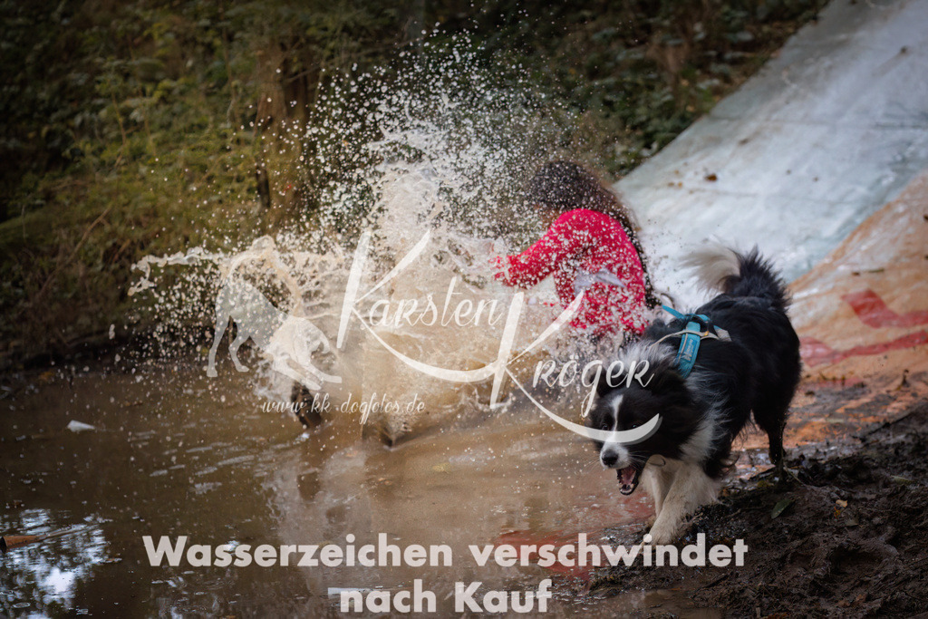 0808_ZZ90101 | kk-dogfotos