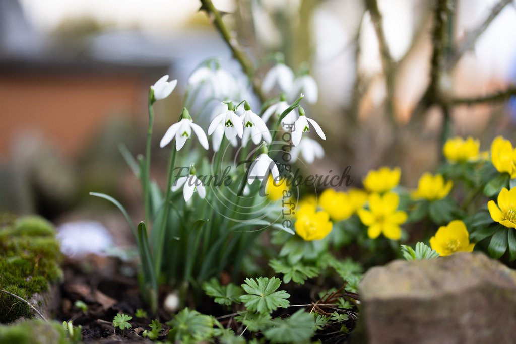 _X0A7159-Edit | Frank Herberich Fotografie, Frank Herberich, Fotografie, Hochzeit, Portrait, St. Peter Ording, Ording, Westerhever, Nordsee, Frank Fotografie, Hardheim,  Odenwald,Walldürn, Band,Eventfotografie - Realisiert mit Pictrs.com