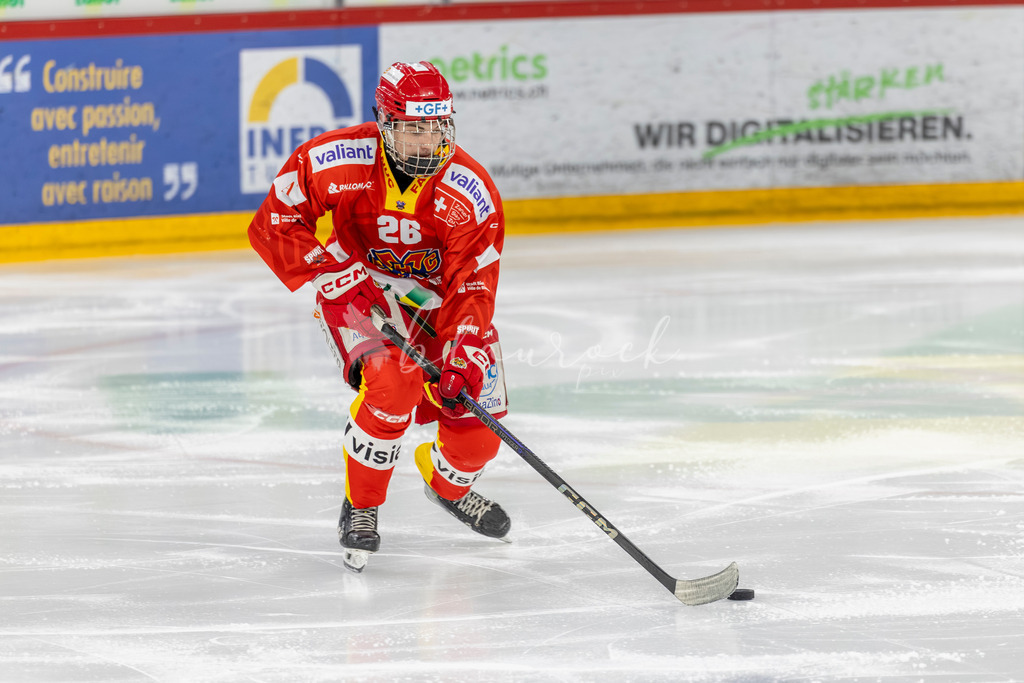 EHCB vs HCD 20262703-415972352 | Sportbilder, Sportfotograf, Hochzeits- und Eventfotografin, Flugshows, Portraits und Tiershooting, Aviation, Downhill, Nationalleague, Swissleague, International