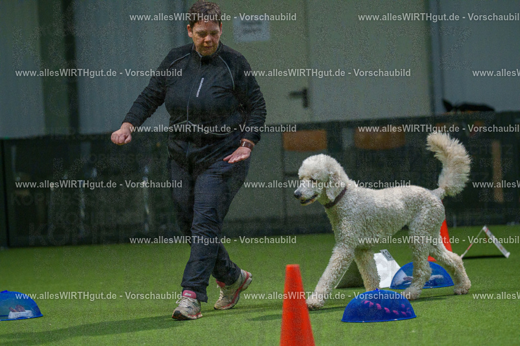 7R505547 | Professionelle Tierfotografie in Mönchengladbach von Daniel Wirth (allesWIRTHgut). Liebevolle & natürliche Bilder von Hunden & Katzen für unvergessliche Erinnerungen.