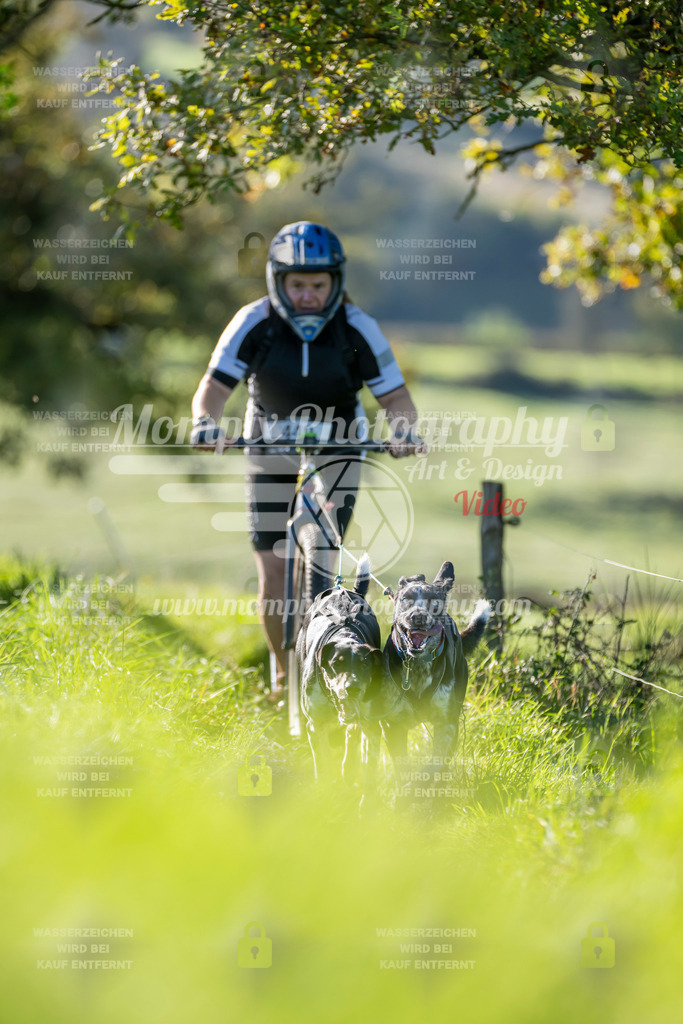 MompixPhotography_20TSB_E3_DS2-34 | PayLife