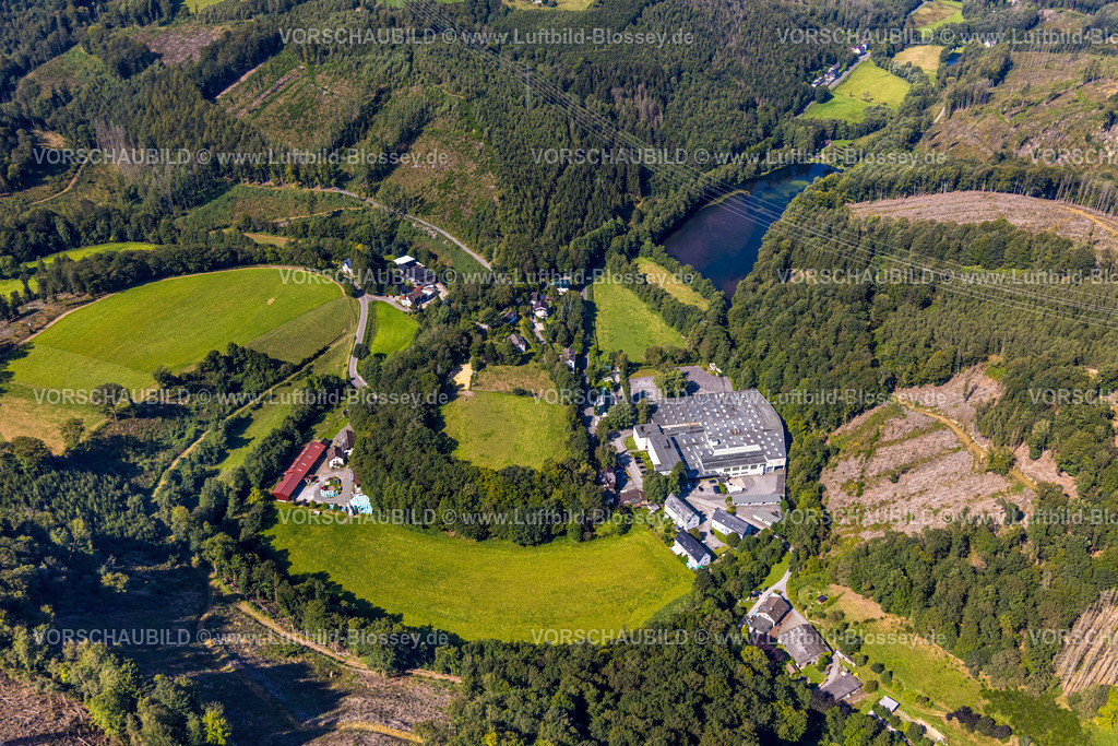 Ennepetal240814818 | Luftbild, Alfred Thun GmbH, Peddenöde, Waldgebiet mit Waldschäden, Fluss Ennepe, Rüggeberg, Ennepetal, Ruhrgebiet, Nordrhein-Westfalen, Deutschland