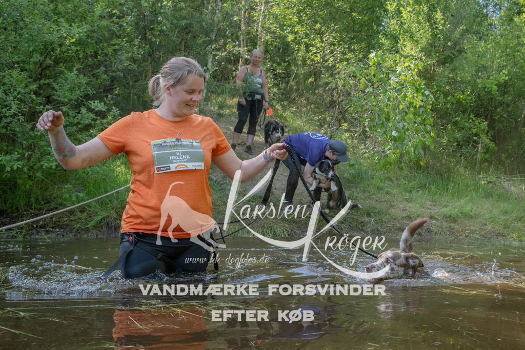 1703DKK991539 | kk-dogfotos