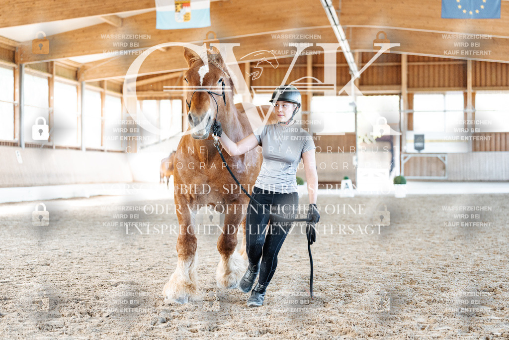 CK906421 | Turnierfotografie Pferdefotografie Trier Rheinland-Pfalz Pferdesport Reitsport Tierfotografie Sportfotografie Pferdevideo Pferdevideografie Equestrianvideography equestrianphotography  - Realisiert mit Pictrs.com