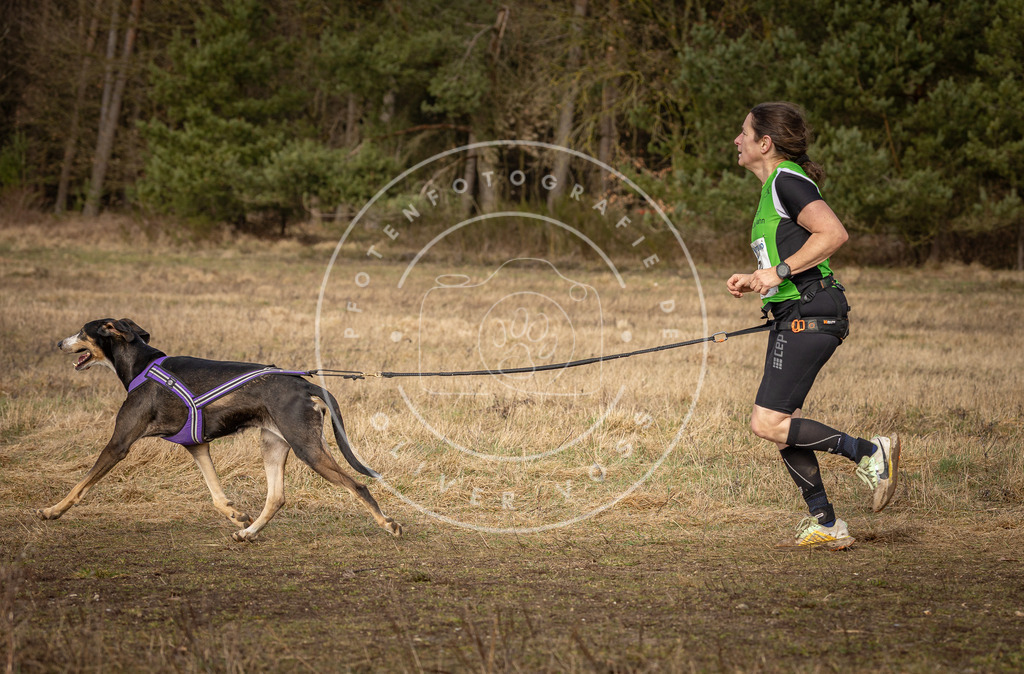 DV3A3780 | Hundefotografie, Tierfotograf, Pfotenfotografie, Fotoshooting Hund, Hunde Portrait, Hundesport, Hundeportraits, Heideshooting, Hunde, Sportfotograf, Hundefotograf, Turnierhundsport, THS,  - Realisiert mit Pictrs.com