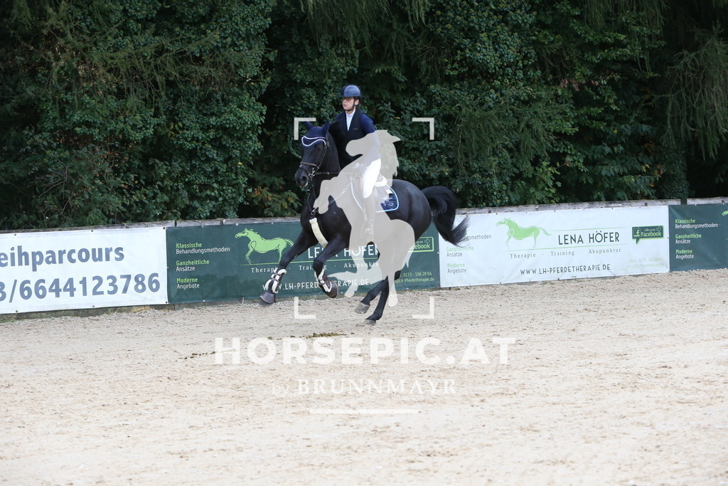 DL2Q0442 | Willkommen bei Brunnmayr - Design & Fotografie – Ihrem Spezialisten für Reitturniere und Pferdeveranstaltungen in Oberösterreich, Salzburg und Bayern! Seit über 17 Jahren sind wir leidenschaftlich dabei.