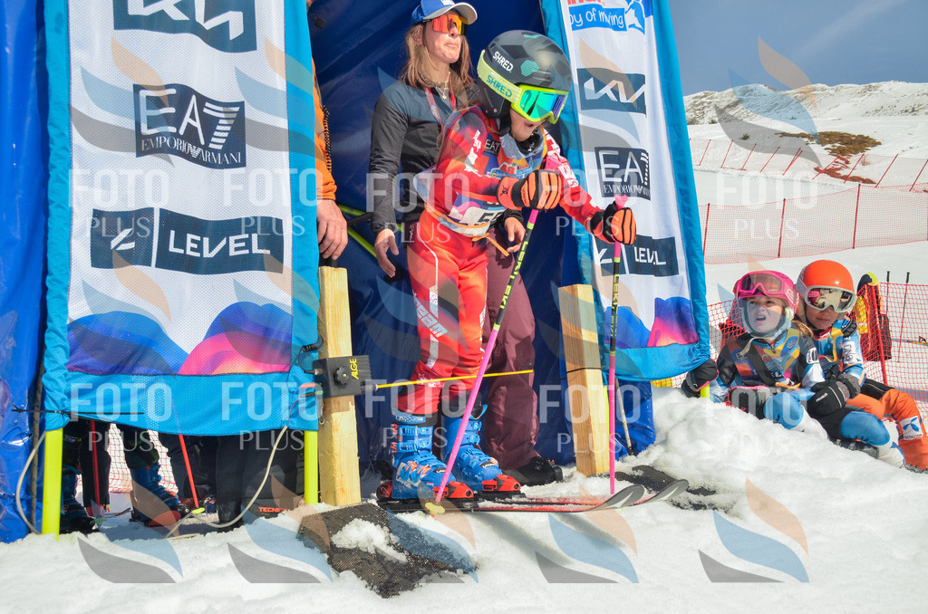 _ELE5246 | holidayphoto