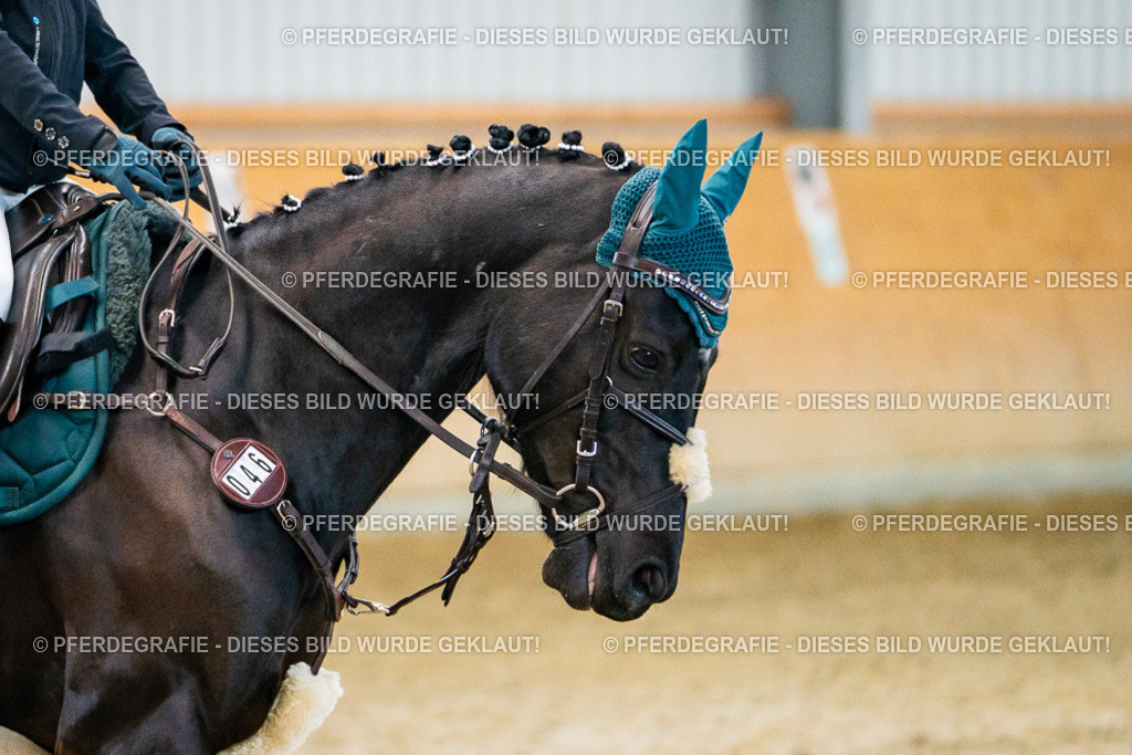 DSC00485 | Pferdegrafie