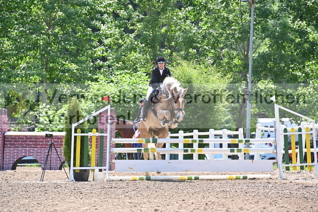 DSC_9184 | equestrian-live-com