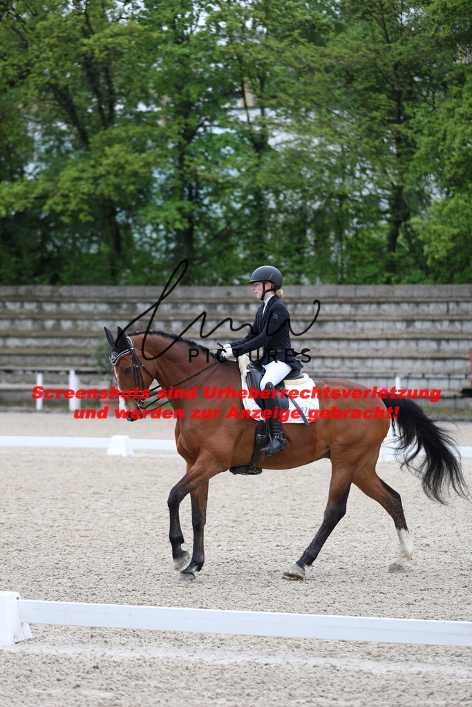 A40A0725 | lmwpictures - Realisiert mit Pictrs.com