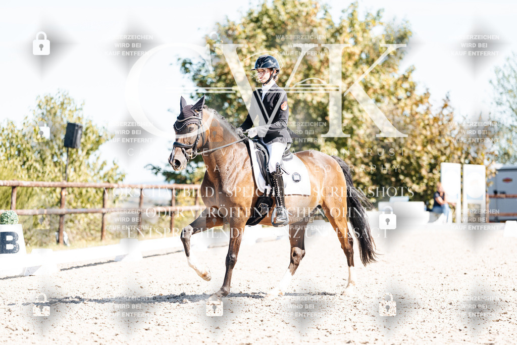 CK909666 | Turnierfotografie Pferdefotografie Trier Rheinland-Pfalz Pferdesport Reitsport Tierfotografie Sportfotografie Pferdevideo Pferdevideografie Equestrianvideography equestrianphotography  - Realisiert mit Pictrs.com
