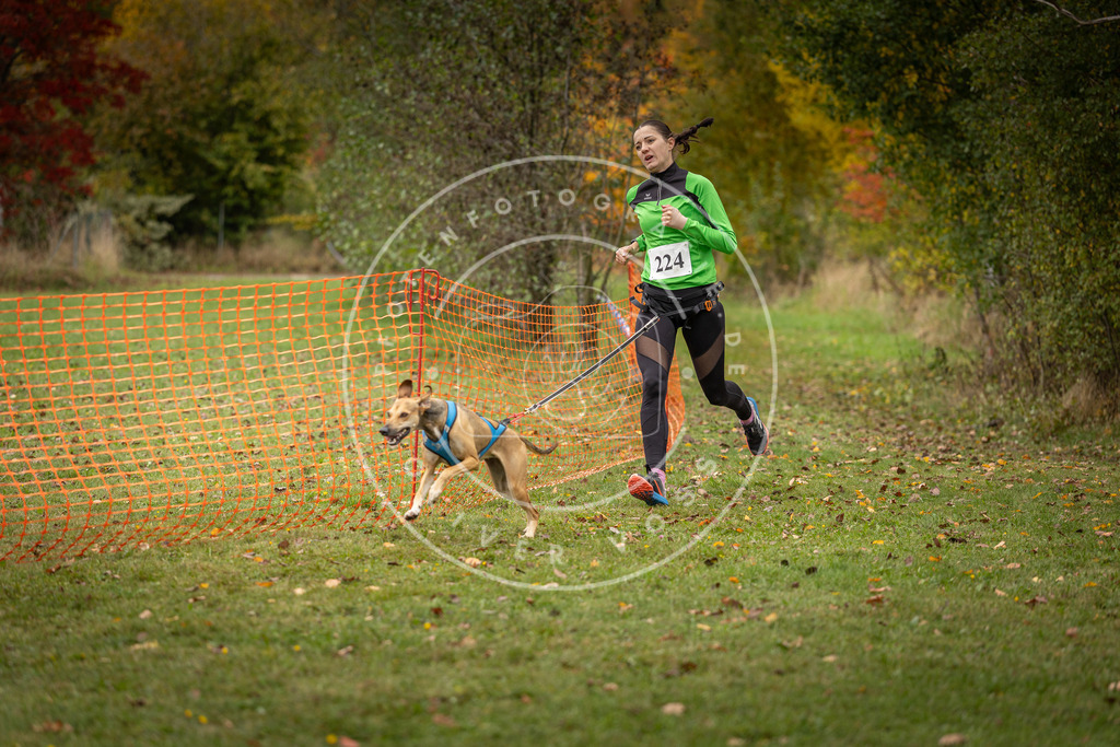 Pfotenfotografie_DV3A4597 | Hundefotografie, Tierfotograf, Pfotenfotografie, Fotoshooting Hund, Hunde Portrait, Hundesport, Hundeportraits, Heideshooting, Hunde, Sportfotograf, Hundefotograf, Turnierhundsport, THS,  - Realisiert mit Pictrs.com