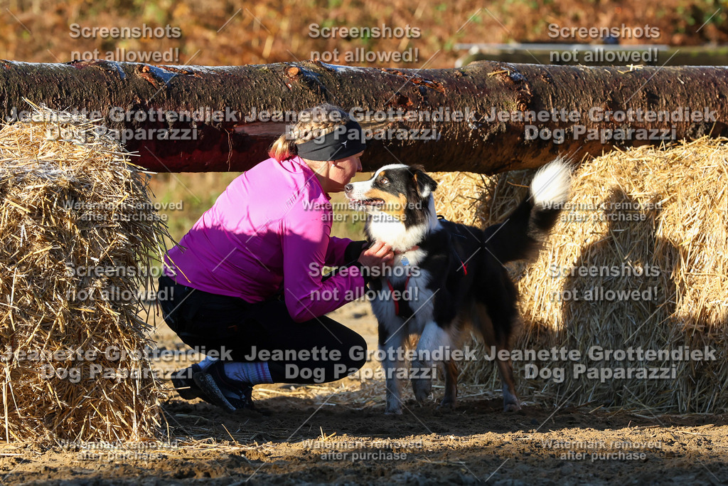 Dog Paparazzi - Strongdog 10-25-888 | Dog Paparazzi Jeanette Grottendiek Fotografie & Videografie - Realisiert mit Pictrs.com