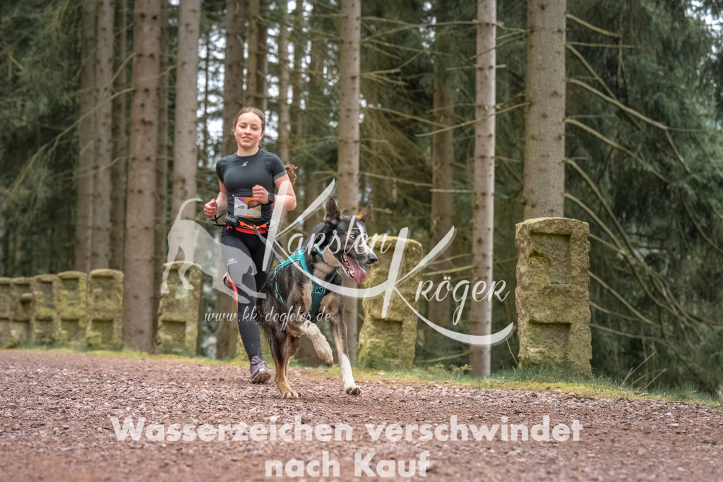 0803DZ6_2773 | kk-dogfotos