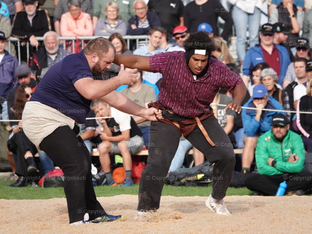 DSC08339 | Schwingen - Realisiert mit Pictrs.com