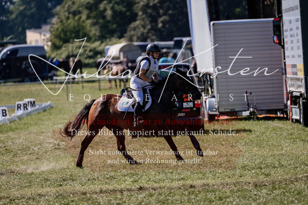 DSC_1507 | Pferde- und Turnierfotografie in Westsachsen. Pferdeportraits, Auftragszeichnungen und intuitive Kunst.