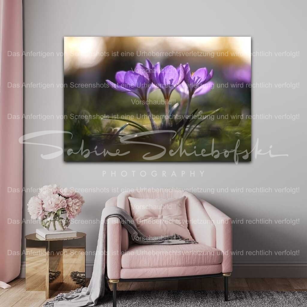 "Frühlingsfarben im Abendlicht" | Hol dir die Natur nach HauseDieses Bild lädt dazu ein, einen Moment innezuhalten und die Schönheit der kleinen Dinge zu genießen.Erhältlich u.a. als Leinwand, Acrylglas, Alu-Dibond oder Fine Art Print. - Realized with Pictrs.com