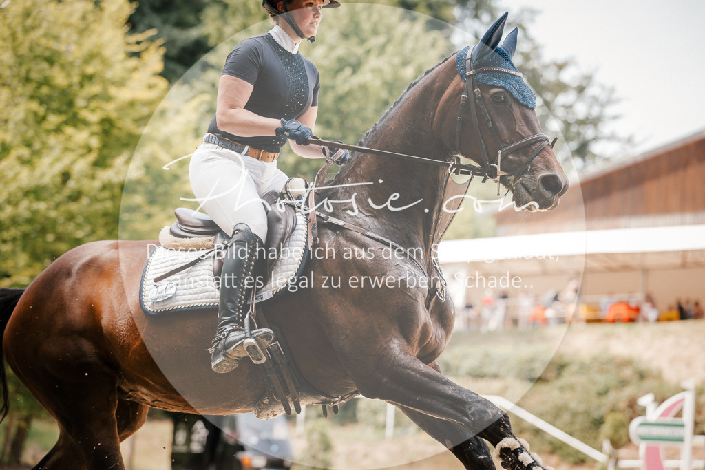 3I6A7795 | Stimmungsvolle Portraits und Reitsportfotografie im Ruhrgebiet und im Münsterland.

Pferdefotografie, Hundefotografie, Tierfotografie, Reportagen, Portraits von Tier und Mensch, Turnierfotografie in Bochum, Recklinghausen, Marl, Haltern am See, Dülmen.. - Realisiert mit Pictrs.com