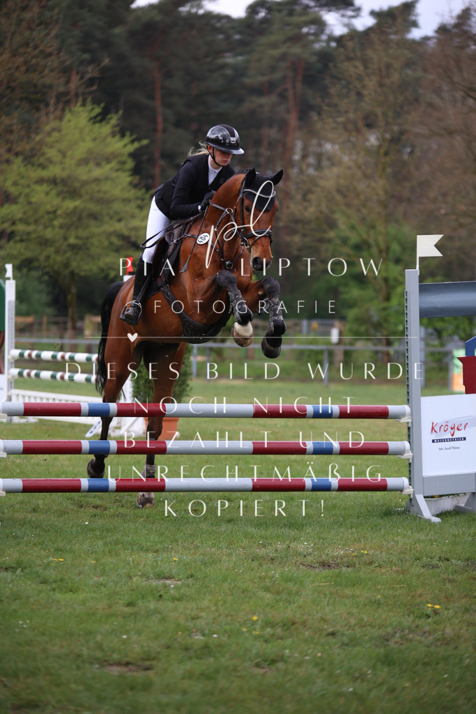 IMGT3162 | pl-fotografie