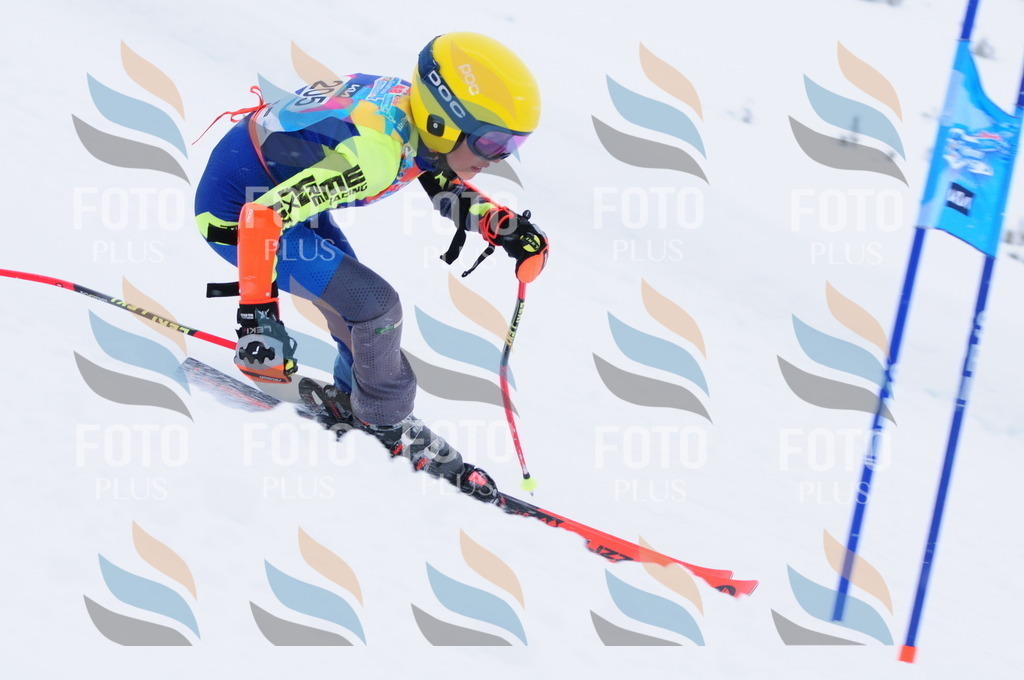 C2240 | holidayphoto