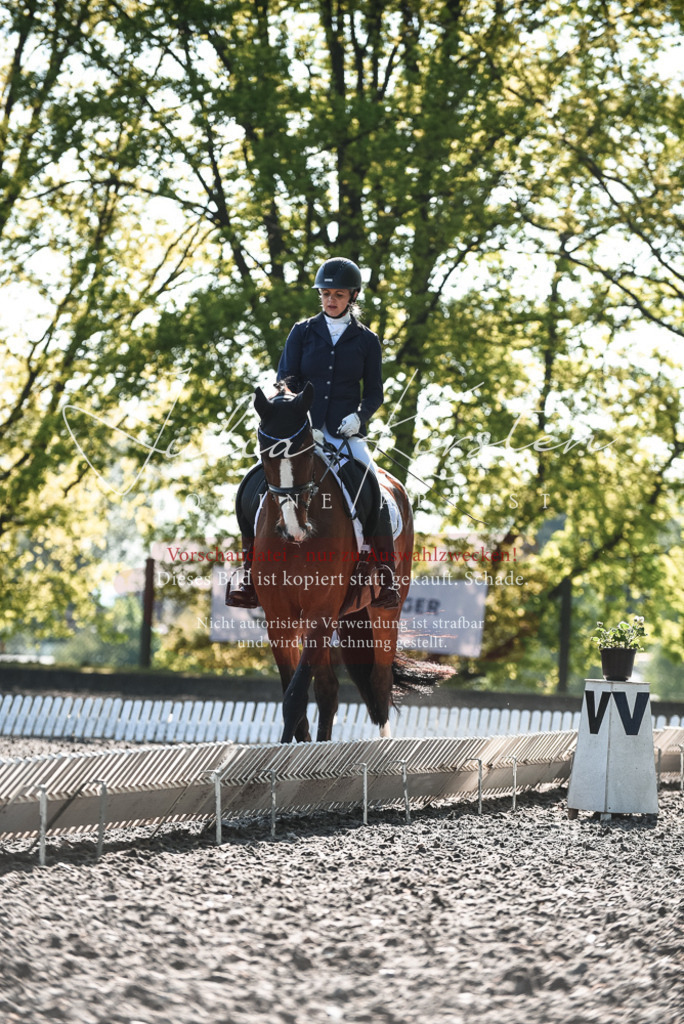 DSC_8512 | Pferde- und Turnierfotografie in Westsachsen. Pferdeportraits, Auftragszeichnungen und intuitive Kunst.