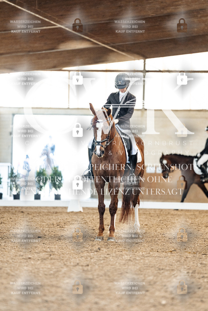 CK908628 | Turnierfotografie Pferdefotografie Trier Rheinland-Pfalz Pferdesport Reitsport Tierfotografie Sportfotografie Pferdevideo Pferdevideografie Equestrianvideography equestrianphotography  - Realized with Pictrs.com